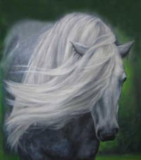 Highland Pony I, L/E Giclee Print, medium size