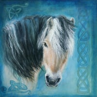 Celtic Fjord (Norwegian Fjord Horse)