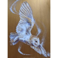 Image 1 of Golden Owl 