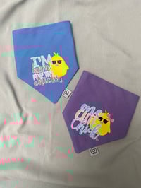 Image 1 of Here for the Chicks / One Cute Chick Bandana