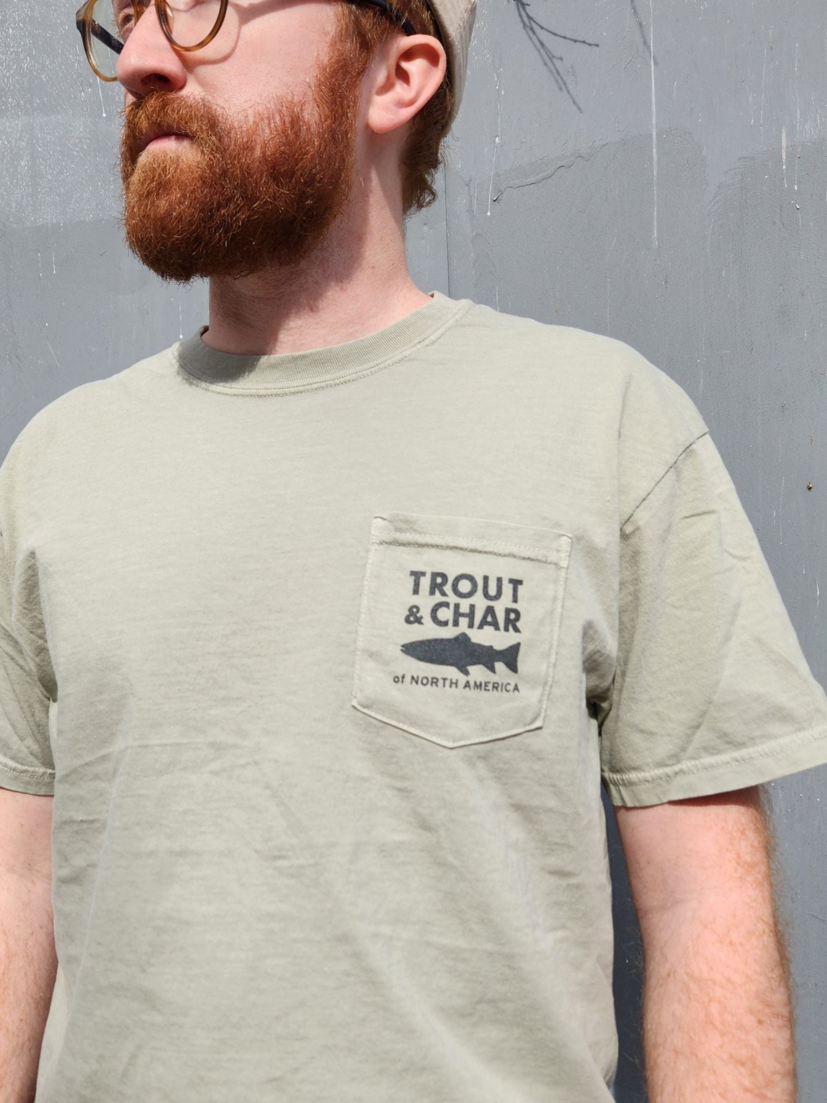 Image of Trout & Char of N. America