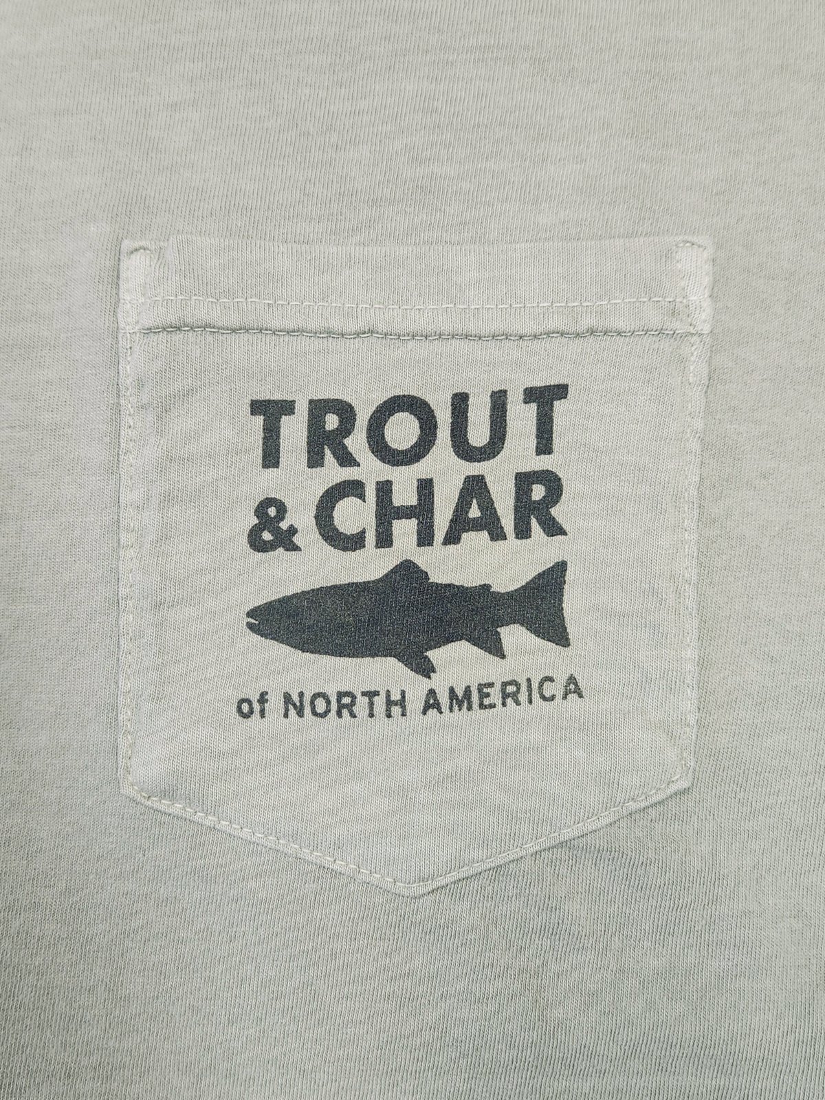 Image of Trout & Char of N. America