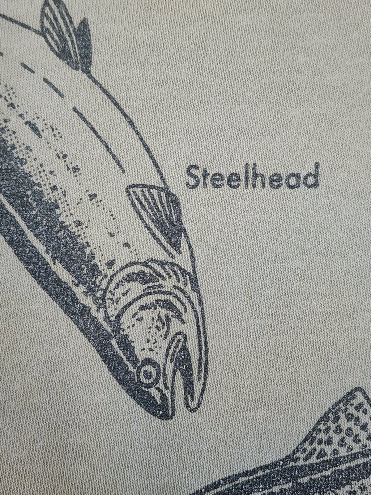 Image of Trout & Char of N. America