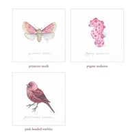 Image 4 of Original Art: Your Choice of Pink