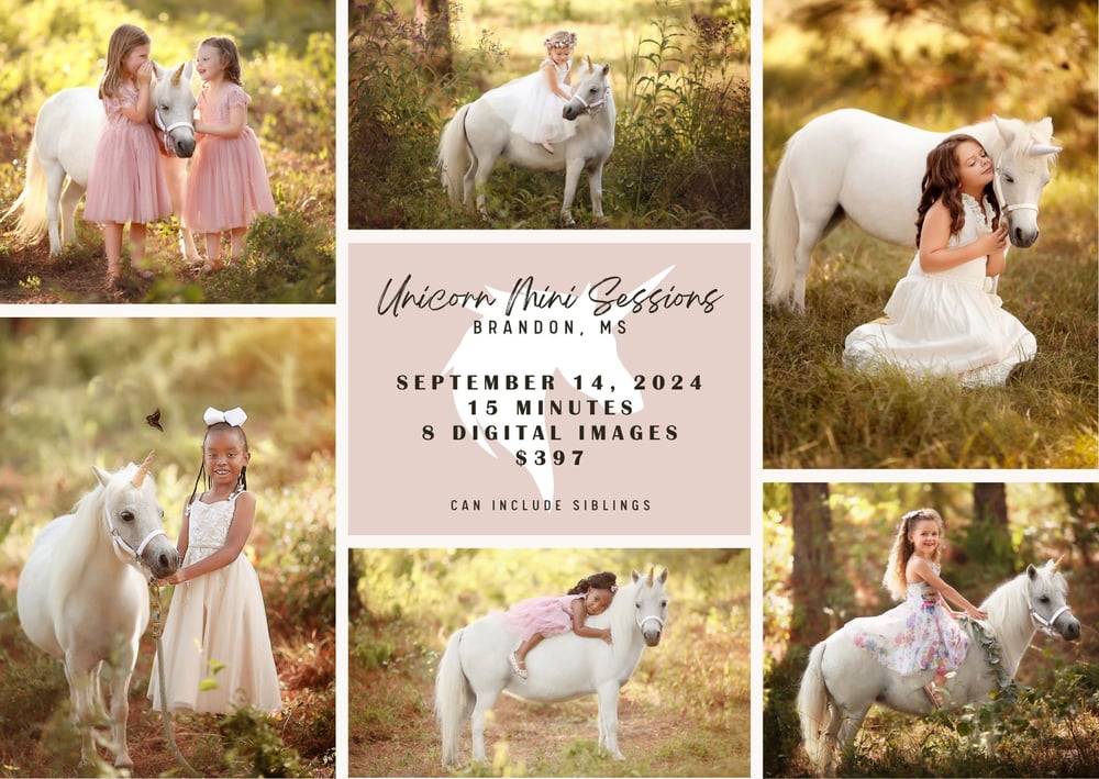 Image of Unicorn/Pony Mini Sessions - Sept