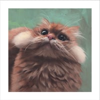 "Colonel Whiskers" Print