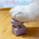 Heart Desk Switch Fidget