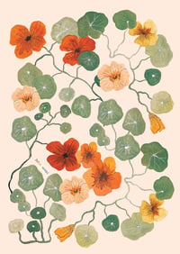 'Nasturtium Vines' Print