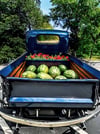 Summer Watermelon Truck Minis