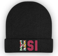 Image 1 of HSI Beanie