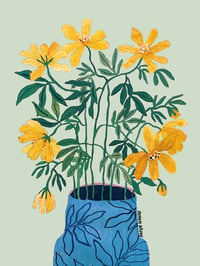 'Cosmos Fresh From The Garden' Print