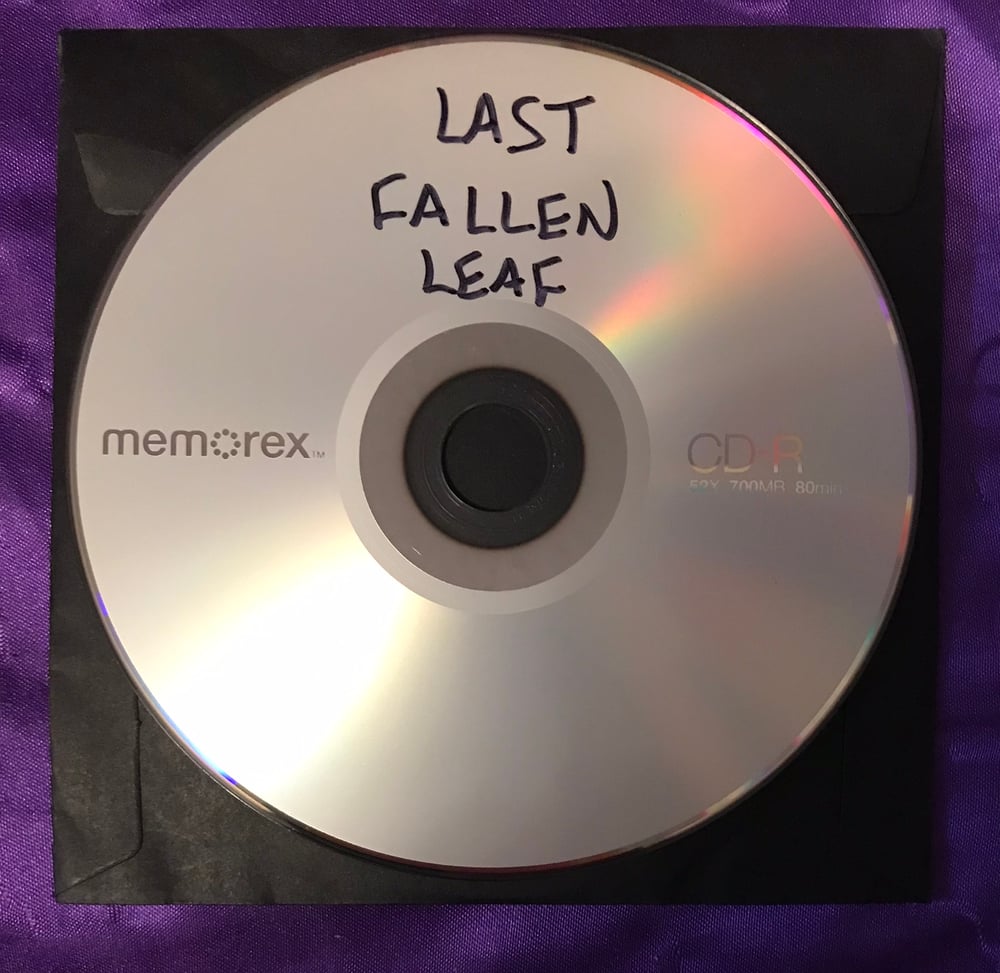 Last homemade copy- Last Fallen Leaf