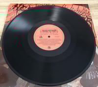 Image 2 of NECROBUTCHER "Schizophrenic Noisy Torment" LP