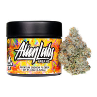 Area41 8th - Indica - ALIENLABS