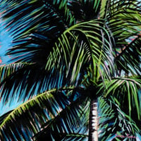 Image 1 of Sunbathed Palm Tree-Fine Art Print