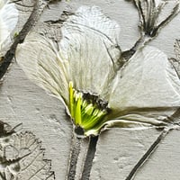 Image 7 of Botanical Plaster Casting Workshop