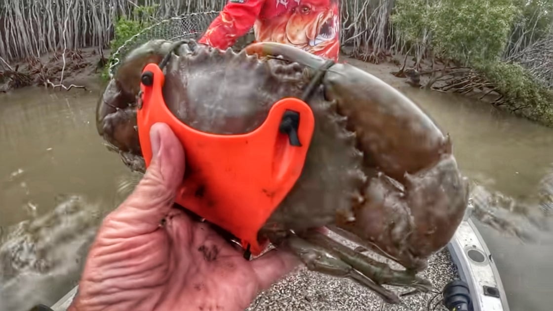 Image of Crab Handcuffs 