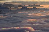 Image 4 of Grand plateau "Mar de nubes" en chêne sculpté
