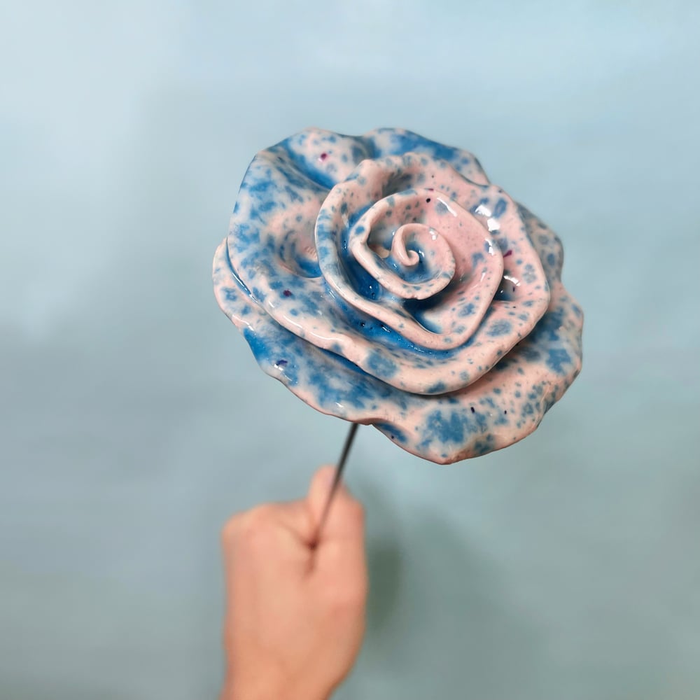 Image of Blue Splash Rose 