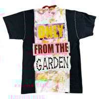 Image 2 of 213. RACE TO THE GARDEN 