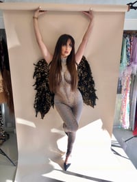 Image 3 of Crystal Mesh Fallen Angel Bodysuit and Wings