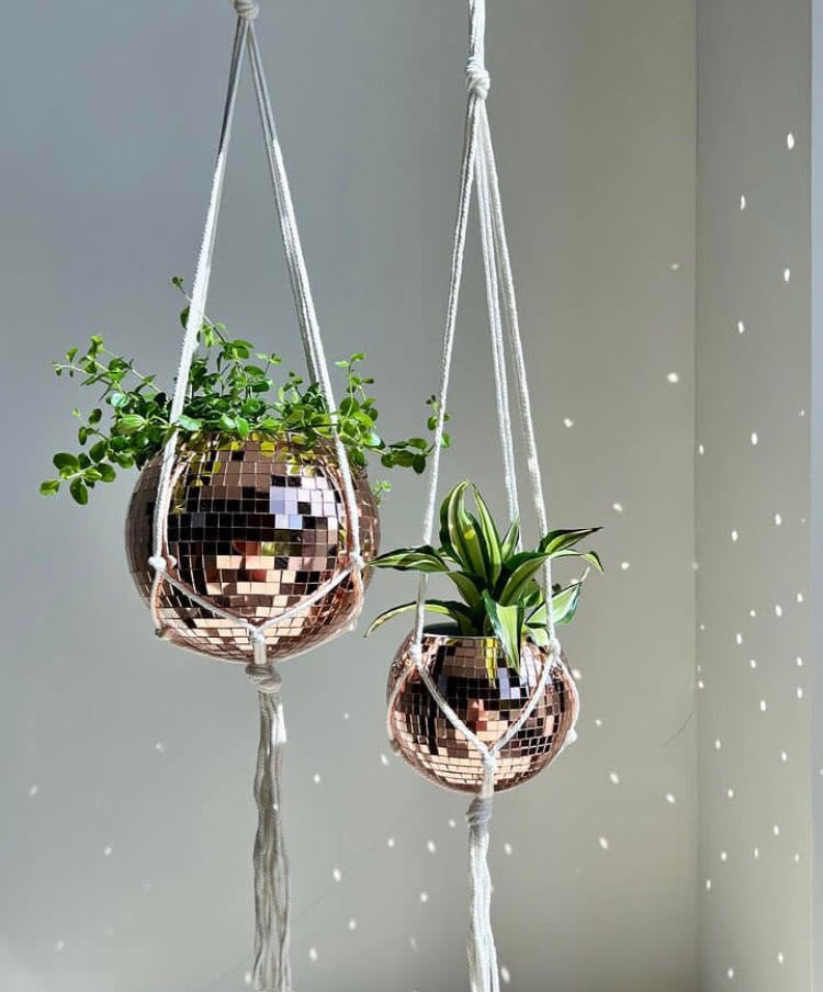 Image of Disco Planter