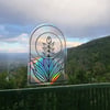 Rainbow Maker - Yucca