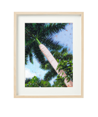 Image 4 of Fox Tail Palm Tree-Fine Art Print