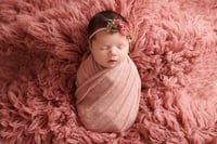 Image 1 of Petite Newborn Sessions