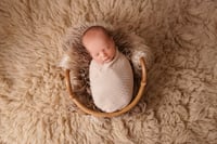 Image 2 of Petite Newborn Sessions