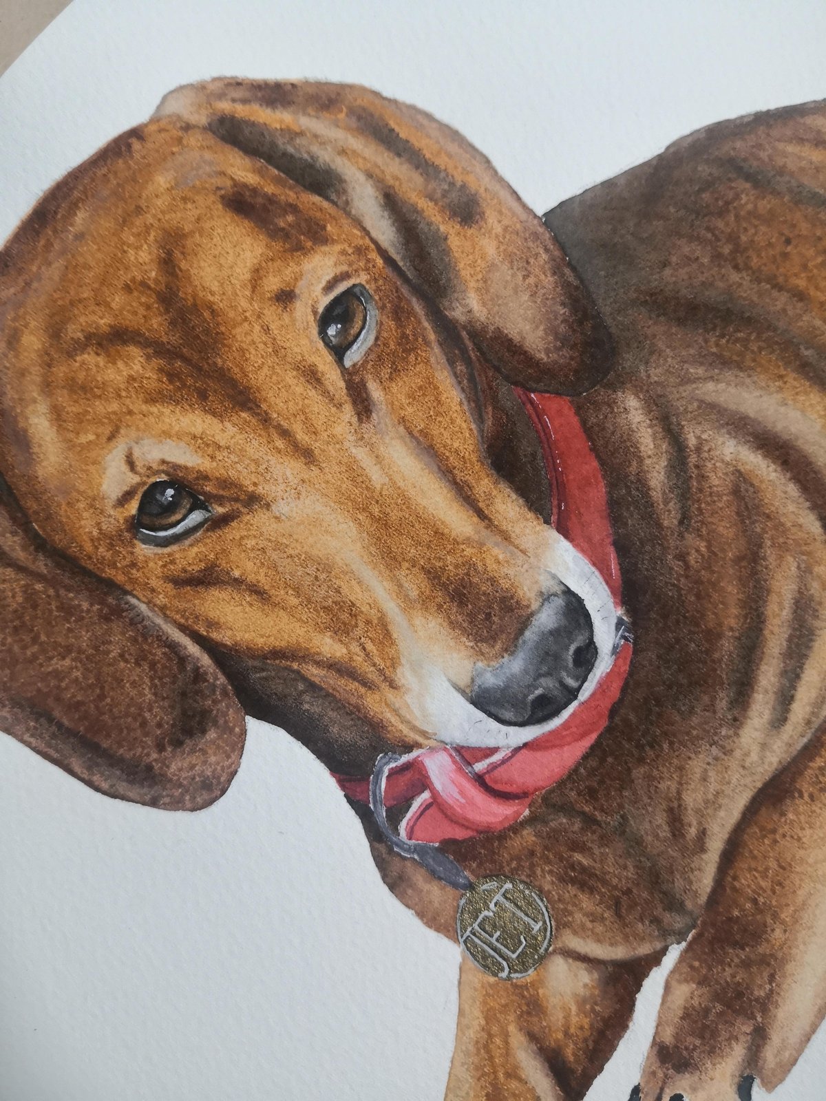 Pet Portaits | Blue Ginger Design