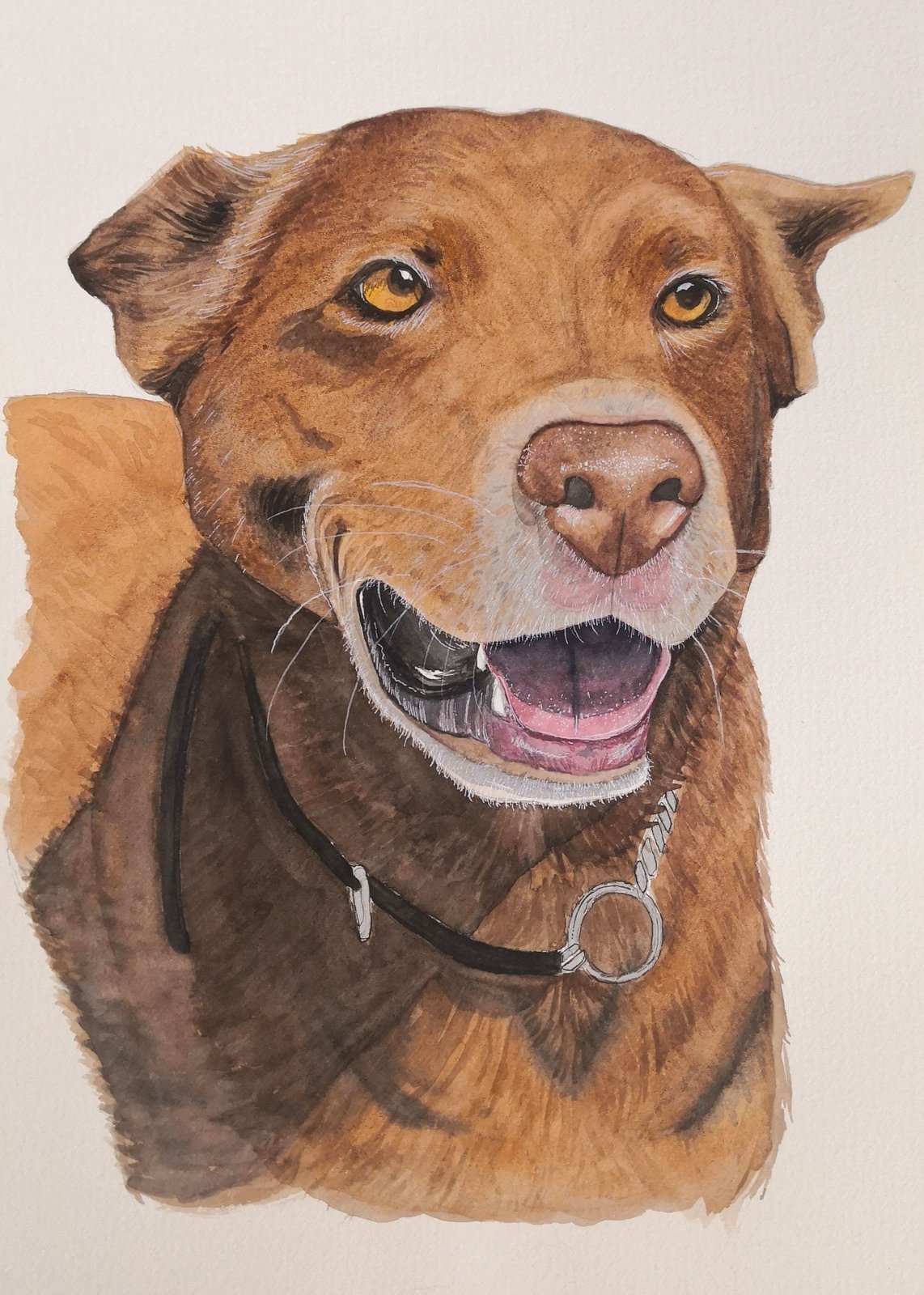 Pet Portaits | Blue Ginger Design