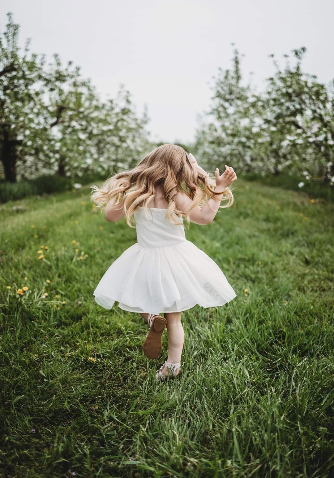 Image of Spring Blossom Minis - Deposit