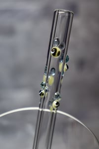 Image 2 of Spring Glass Straw Set 