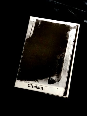 Poems of Pleasure - Ciselaut