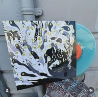 Image 2 of MELT BANANA- FETCH LP (BLUE VINYL)