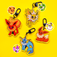 EEVEELUTION CHARMS 