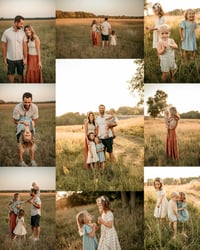 $100 off a Summer Family Session