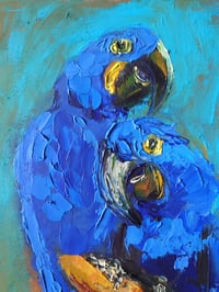 Image 1 of Parrots