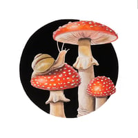 Snail & Mushrooms