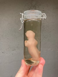 Image 4 of Fetal Kitten 