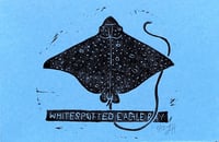 Whitespotted Eagle Ray Print