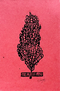 Image 1 of Sea Fan Print