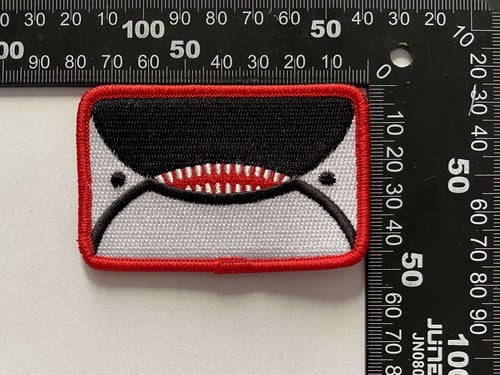 Image of Orca Face Flag Patch