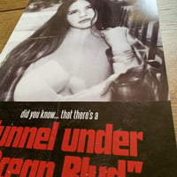 Image 2 of Lana Del Rey ' Did You Know That There's A Tunnel Under Ocean Blvd' Poster