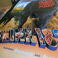 Image 3 of blink-182 'Dude Ranch' Poster