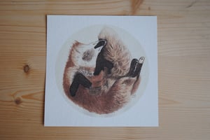 RENARD — carte postale impression jet d’encre — papier coton 300gr