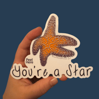 Image 1 of You're A Star - Starfish Pun Sticker 5in