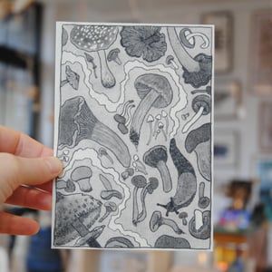 CHAMPIGNONS — carte postale impression jet d’encre — papier coton 300gr