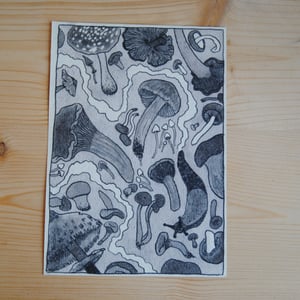CHAMPIGNONS — carte postale impression jet d’encre — papier coton 300gr